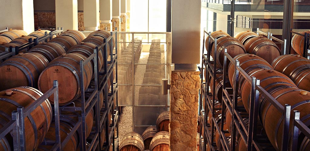 Barkan winery - a wine paradise